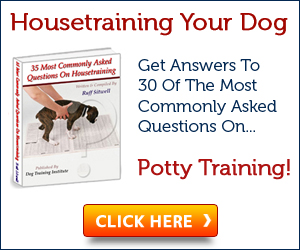 Dog House Training